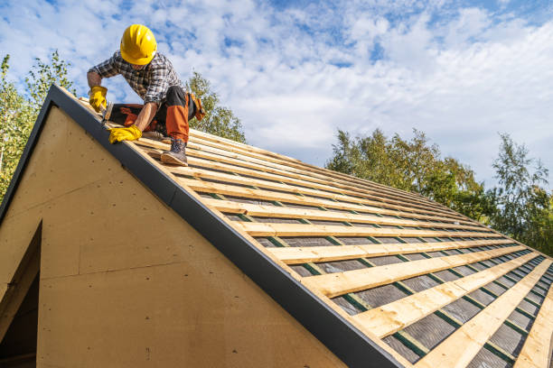 Best Storm Damage Roof Repair  in Abram, TX